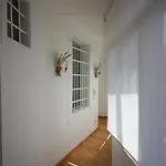 Palazzo Brigido 的里雅斯特